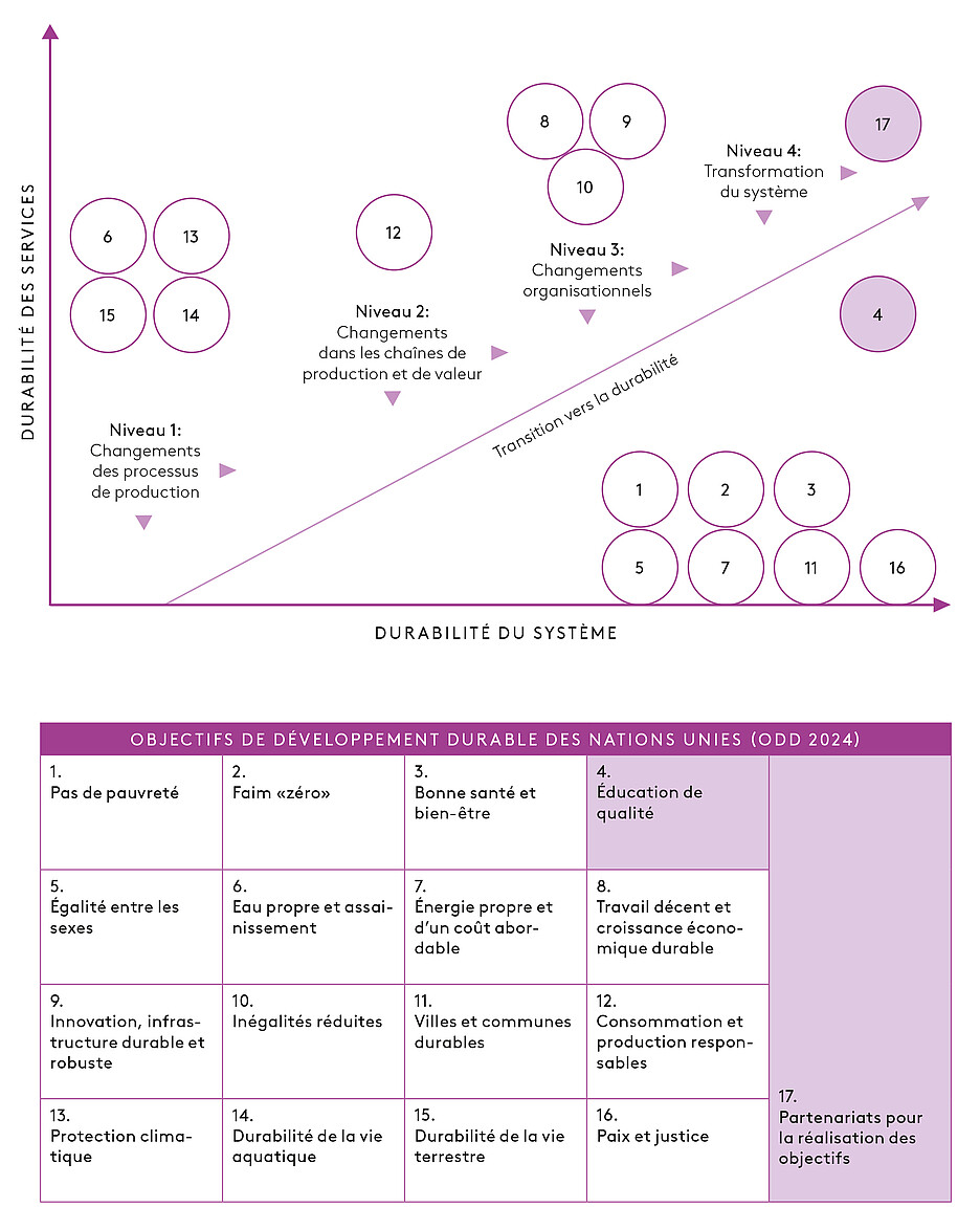 Illustration: La formation (continue ou non) comme partenaire du système pour le développement durable, sur la base du modèle CapSEM (Fet et al., 2023; Fet & Knudson, 2021); représentation adaptée.